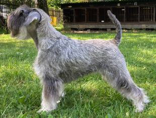 Osobn strnky Chocolate z Apatyky