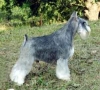 Chelines Jhonnatan-Fulgencio