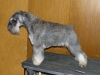 Matraszepe Nutcracker