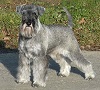 Tombolas Nanina