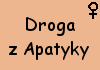Droga z Apatyky