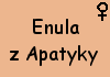 Enula z Apatyky