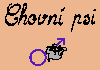 Chovn psi
