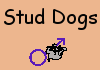 Stud Dogs
