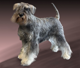 Osobn� str�nky Chaluhy z Apatyky